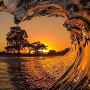 Meet your Posher, Briana